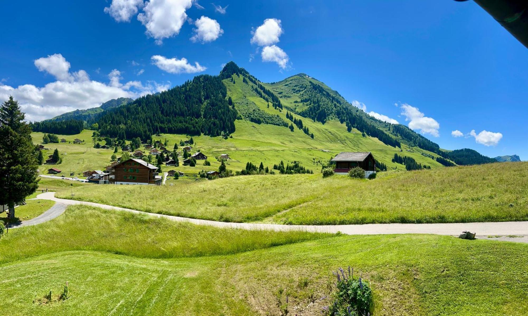Le Nid Alpin *