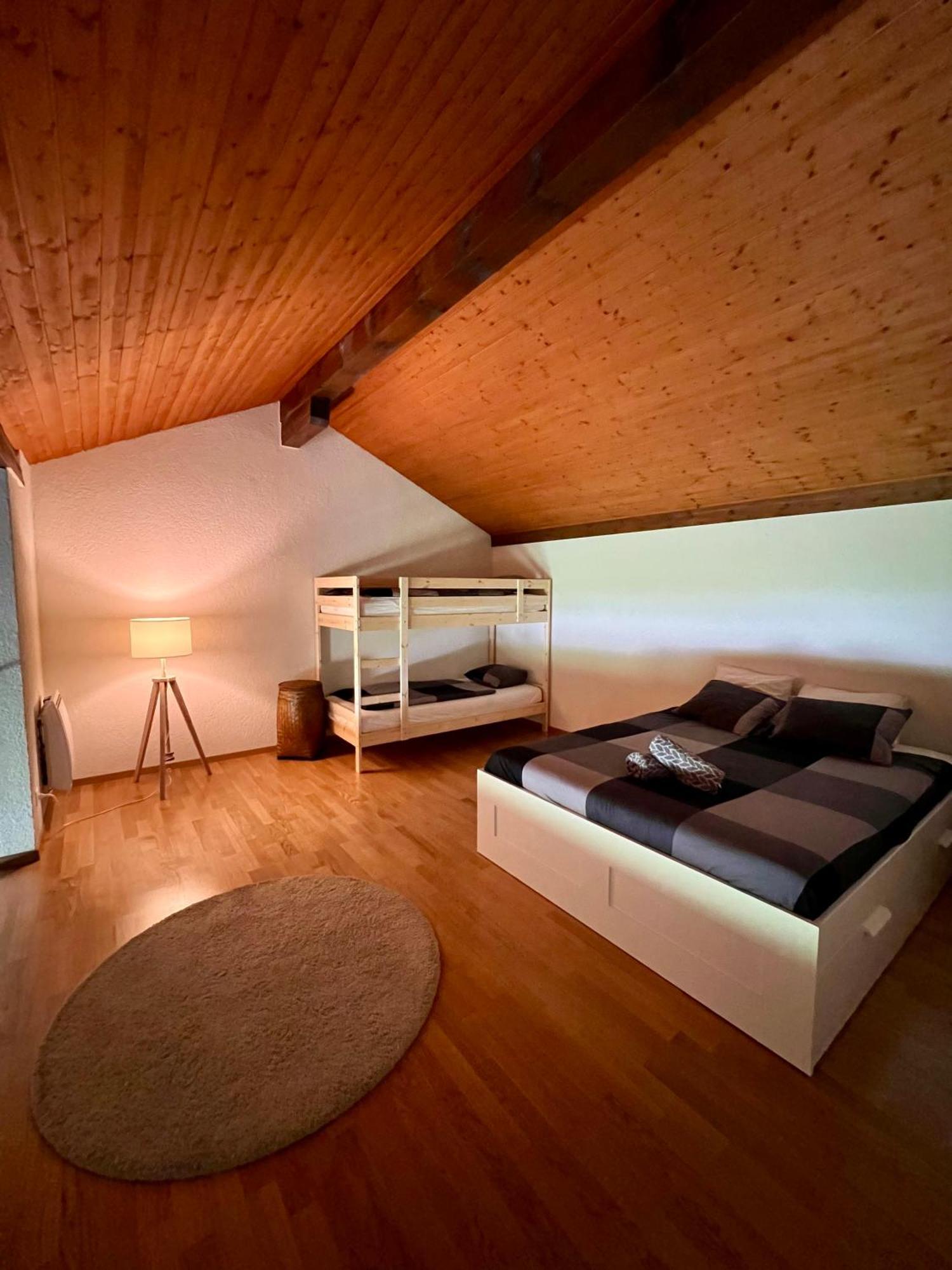 Le Nid Alpin Apartment Les Mosses